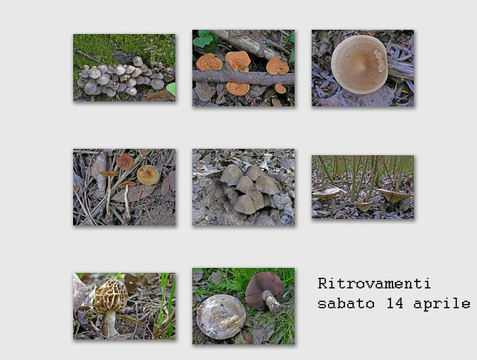 Ritrovamenti sabato 14 aprile.